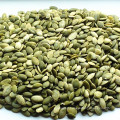 Processed pumpkin seeds 2016 new crop